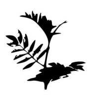 LICORICE ABO Ltd logo - Similar company to Licorice Extract Llc