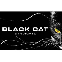 Black Cat Syndicate Limited logo - Similar company to Dreadnought Resources Ltd