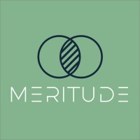 Meritude logo - Similar company to Kidzcode