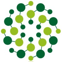 IMI_SOPHIA logo - Similar company to M_T Studio