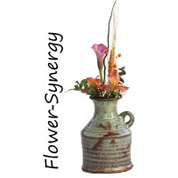Flower-Synergy logo - Similar company to Ccat - Campus Center For Appropriate Technology