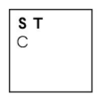 Sonsino Turcan Construction Limited logo - Similar company to Strata Mep