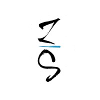 Zing Software (Pty) Ltd logo - Similar company to Vixiton ™
