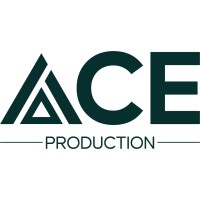Ace Production logo - Similar company to Dinx Solutions Inc