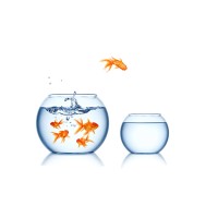 Nyföretagarcentrum Partille logo - Similar company to 24Vision Ab