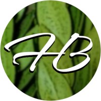 Hadas Bar logo - Similar company to Cellosign