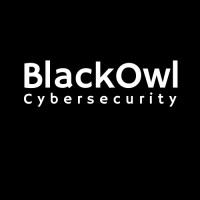 BlackOwl Cibersecurity logo - Similar company to Blackowl Live