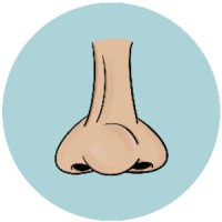 Wijsneuzen logo - Similar company to Bles & Van Der Does