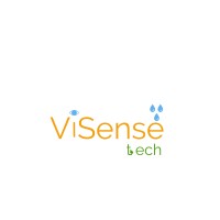Visense Tech logo - Similar company to Blazers