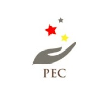 Process Engineering & Consultancy logo - Similar company to Process Engineering Consulting