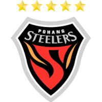Pohang Steelers logo - Similar company to Tochigi Sc