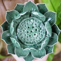 Shakti Inc. logo - Similar company to Woblu 🇨🇦