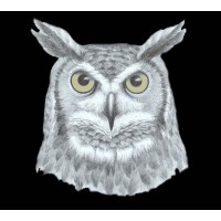 MITROWIG logo - Similar company to Dbh Services