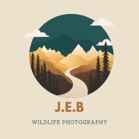 Boults Wildlife Photography