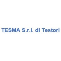 Tesma S.r.l. di Testori logo - Similar company to Tesma