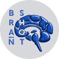 Brain-Shot Academy (DACH) logo - Similar company to Sprint Concept Gmbh