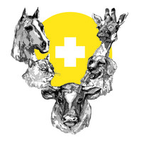 Tierärztliche Klinik Gessertshausen