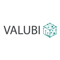 Valubi logo - Similar company to Kallestrup Gruppen