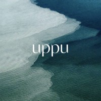 UPPU logo - Similar company to Border&Fall