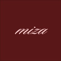 Miza logo - Similar company to Mirzaoğlu Holding
