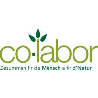 co-labor s.c. logo - Similar company to Utopolis