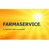 Farmaservice logo - Similar company to Notto