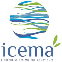 ICEMA logo - Similar company to Ensis