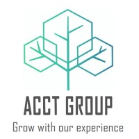 ACCT GROUP logo - Similar company to 42 Tech