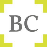 Bollin Consulting GmbH logo - Similar company to Pav Card Gmbh