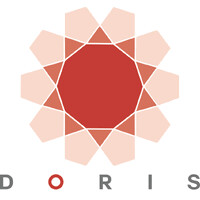 DORIS PetroGas logo - Similar company to Jeyhoon