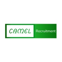 Camel Recruitment logo - Similar company to Infinity Blue