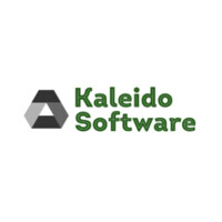 Kaleido Software logo - Similar company to Mitte
