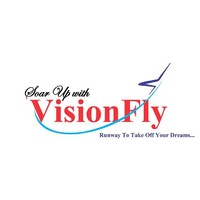 Visionfly Official logo - Similar company to Vision Flight