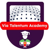 Via Talentum Academy logo - Similar company to Aula Web