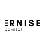Ernise Connect logo - Similar company to Ankit Media Technologies Int