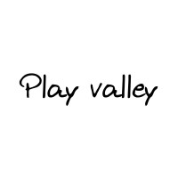 Play valley logo - Similar company to Ad Modular
