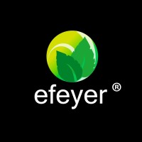 efeyer logo - Similar company to Wörner Solar