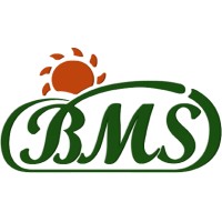 B.M.S. srl logo - Similar company to Elc Uk Ltd