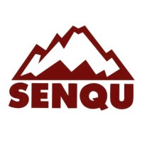 SENQU logo - Similar company to Swing Daddy Golf