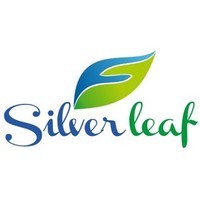Silver Leaf Solutions logo - Similar company to The Mastermind Group