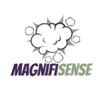 Magnifisense logo - Similar company to Your Event Support