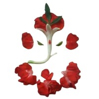 Gift N Treat logo - Similar company to Reportingbuddy