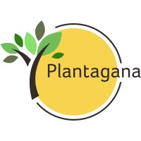 Plantagana