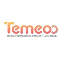 Temeoo logo - Similar company to Omniscience