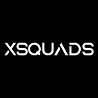 XSQUADS Tech Private Limited logo - Similar company to ANSG
