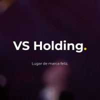 Vs Holding logo - Similar company to Finunion Ltd