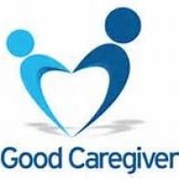 Vee's Sitter Services, LLC logo - Similar company to Integrity Medical Solutions