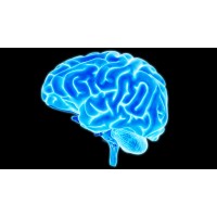 Braintech Solutions logo - Similar company to Braintech Solutions