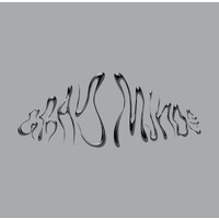 Gray Minds Magazine logo - Similar company to Noco Books