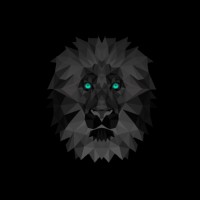 Agência Black Lion - Marketing logo - Similar company to Agência Staluz